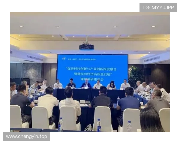 新时代背景下民营企业家代表推动高质量经济发展的创新实践研究