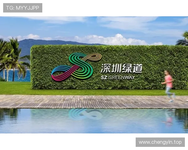 中国著名企业家领袖风采与创新精神的背后故事与发展路径解析