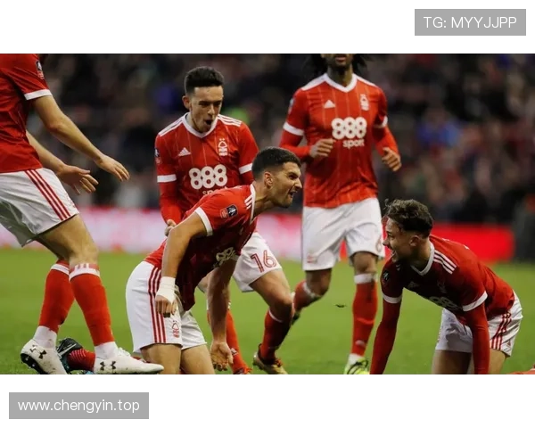 我为何无法忽视西汉姆联的保级对手